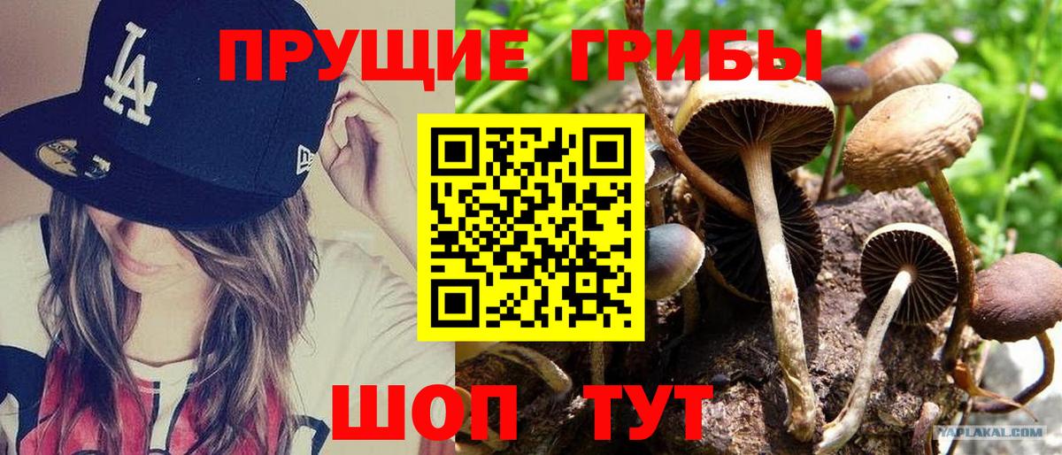 Галлюциногенные грибы Cubensis Лабытнанги